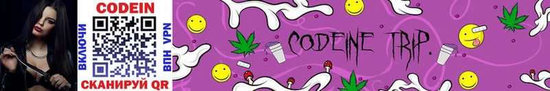 Codein Purple Drank  Купить  Руза 