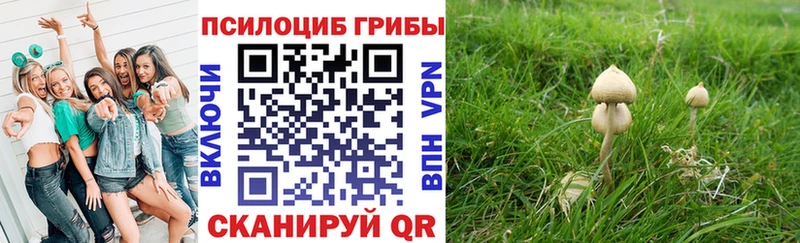 Галлюциногенные грибы прущие грибы  Купить где  Руза 